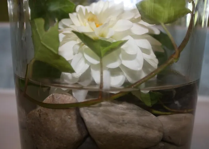 Rosenrot Apartament *