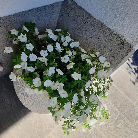 Landhaus Rosenrot * Fuegen